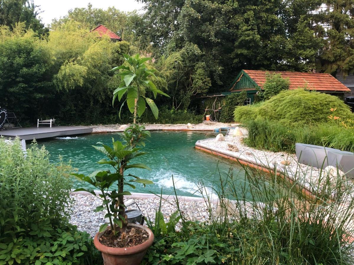 Haus in Anif bei Salzburg mit Sauna und Garten mit Badeteich Exterior foto