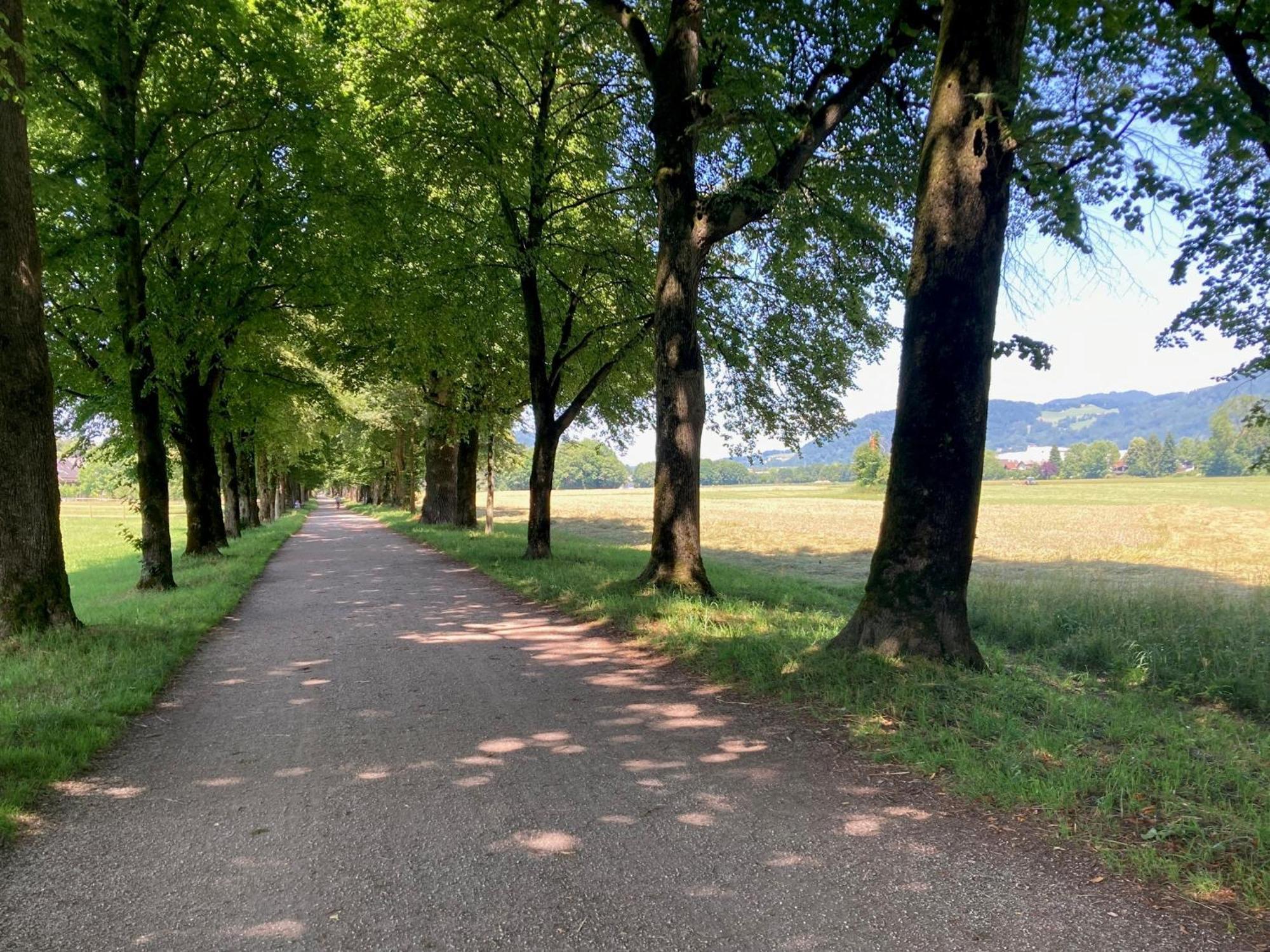 Haus in Anif bei Salzburg mit Sauna und Garten mit Badeteich Exterior foto